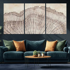 Tree Ring Wall Art Triptych, Rustic Wood Ring Canvas Print