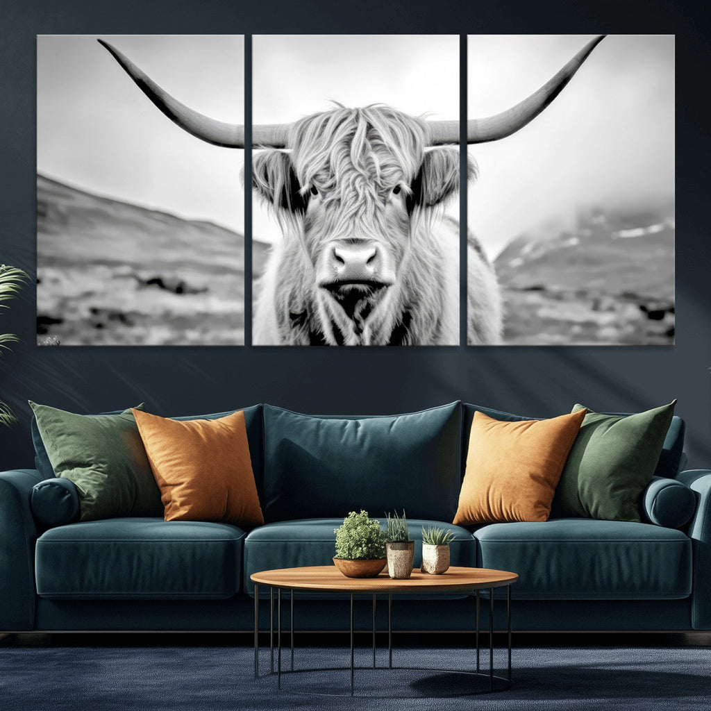 Scottish Cow Wall Art Canvas Print