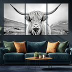Scottish Cow Wall Art Canvas Print