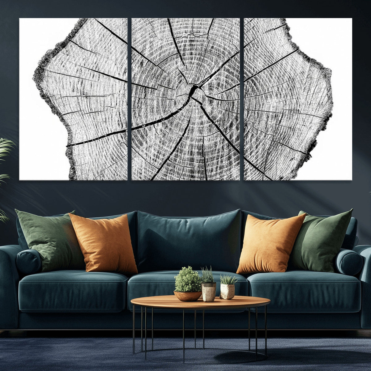 Rustic Tree Ring Wall Art Canvas Print, Framed and Ready to Hang