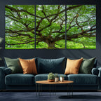 Ancient Tree Wall Art Canvas Print, Framed Sprawling Branches