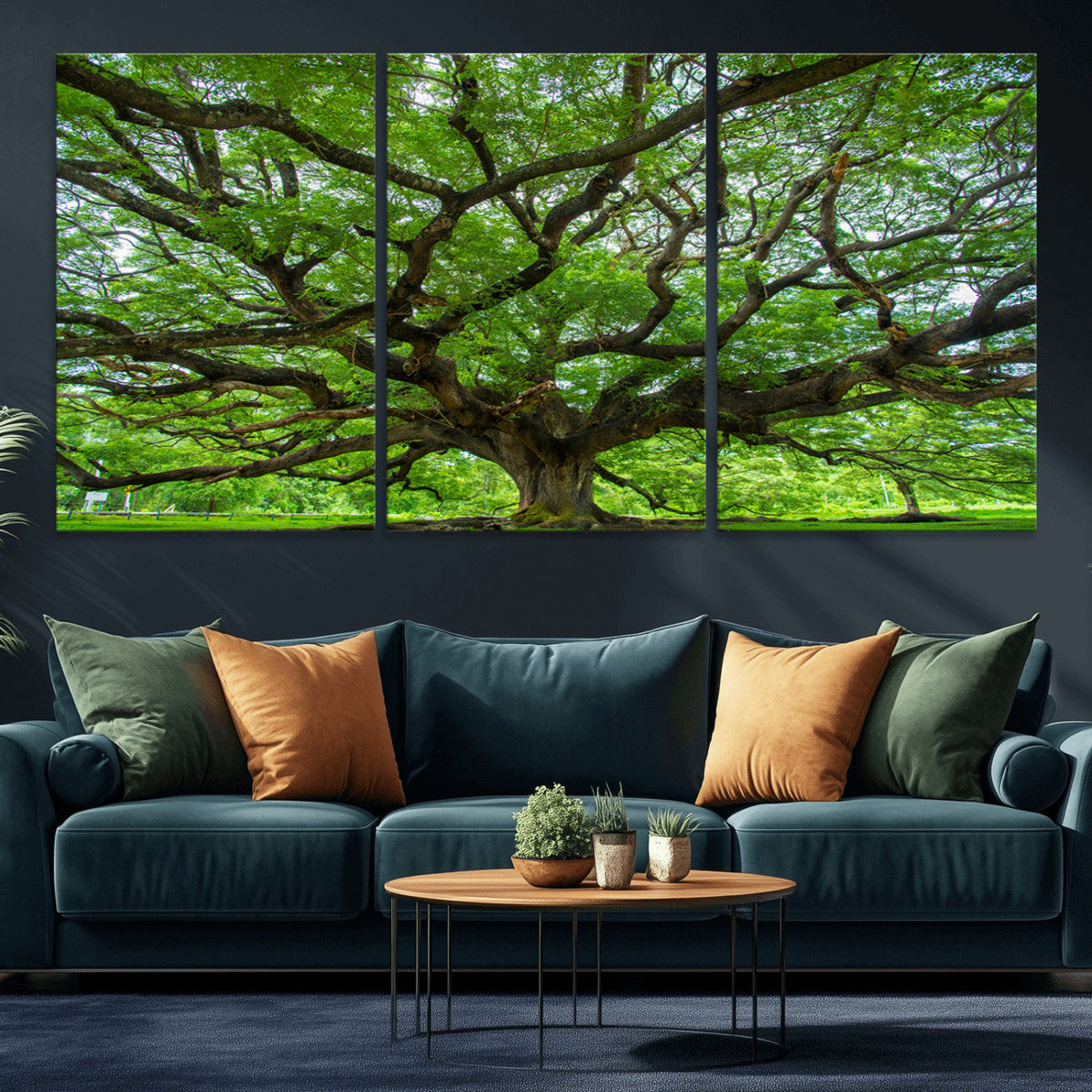 Ancient Tree Wall Art Canvas Print, Framed Sprawling Branches