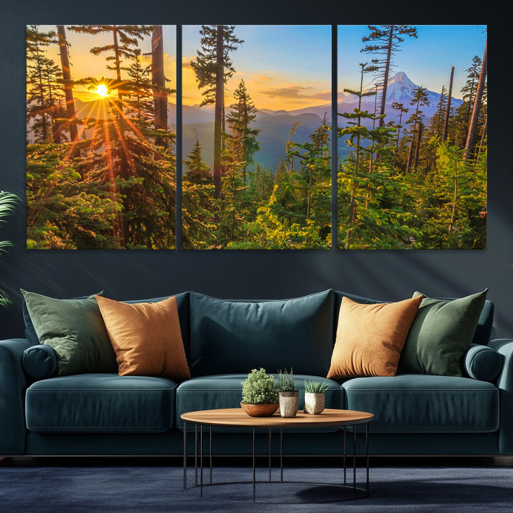 Forest Sunset Wall Art Canvas Print | Green Pines in Golden Light