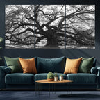 Ancient Oak Wall Art Canvas Print | Gnarled Tree with Twisted Branches