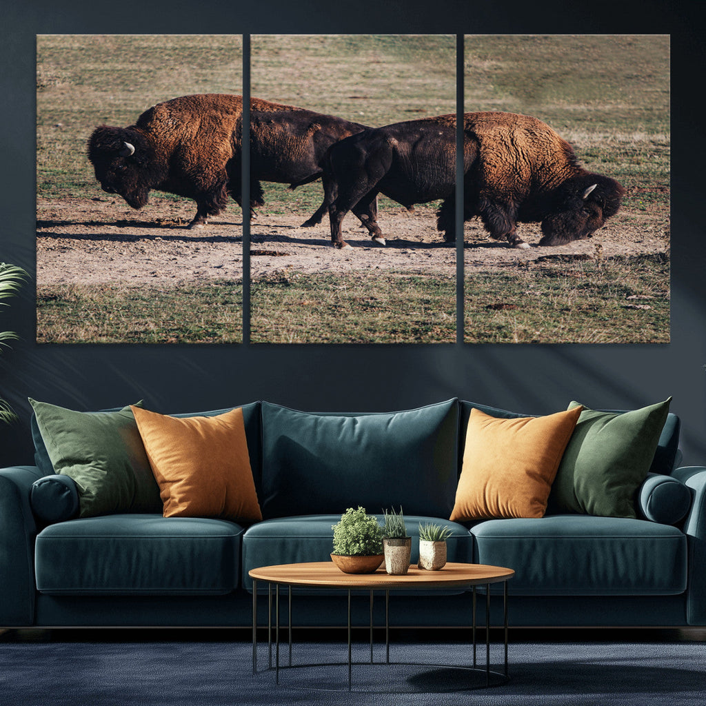 Bison Wall Art Canvas Print, Framed Western Wildlife Modern Ranch