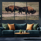 Bison Wall Art Canvas Print, Framed Western Wildlife Modern Ranch