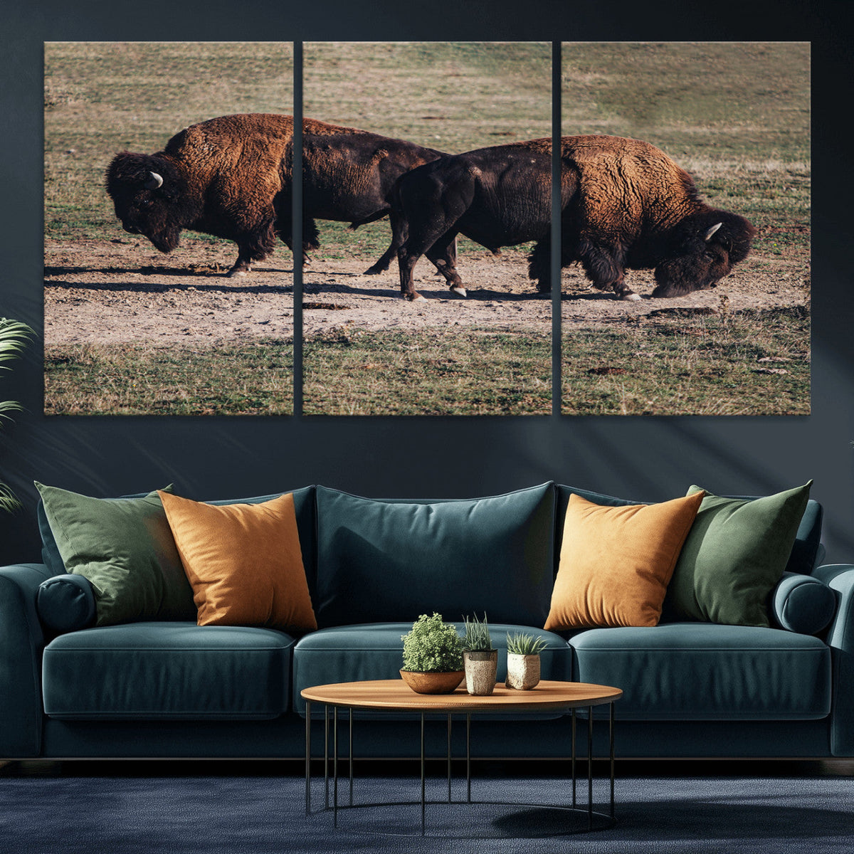 Bison Wall Art Canvas Print, Framed Western Wildlife Modern Ranch