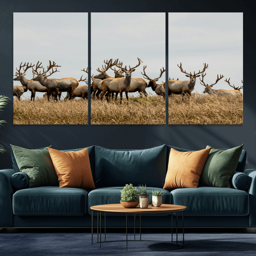 Elk Herd Wall Art Canvas Print, Framed Wildlife Photography Art, Majestic Antlers Rustic Wildlife Decor