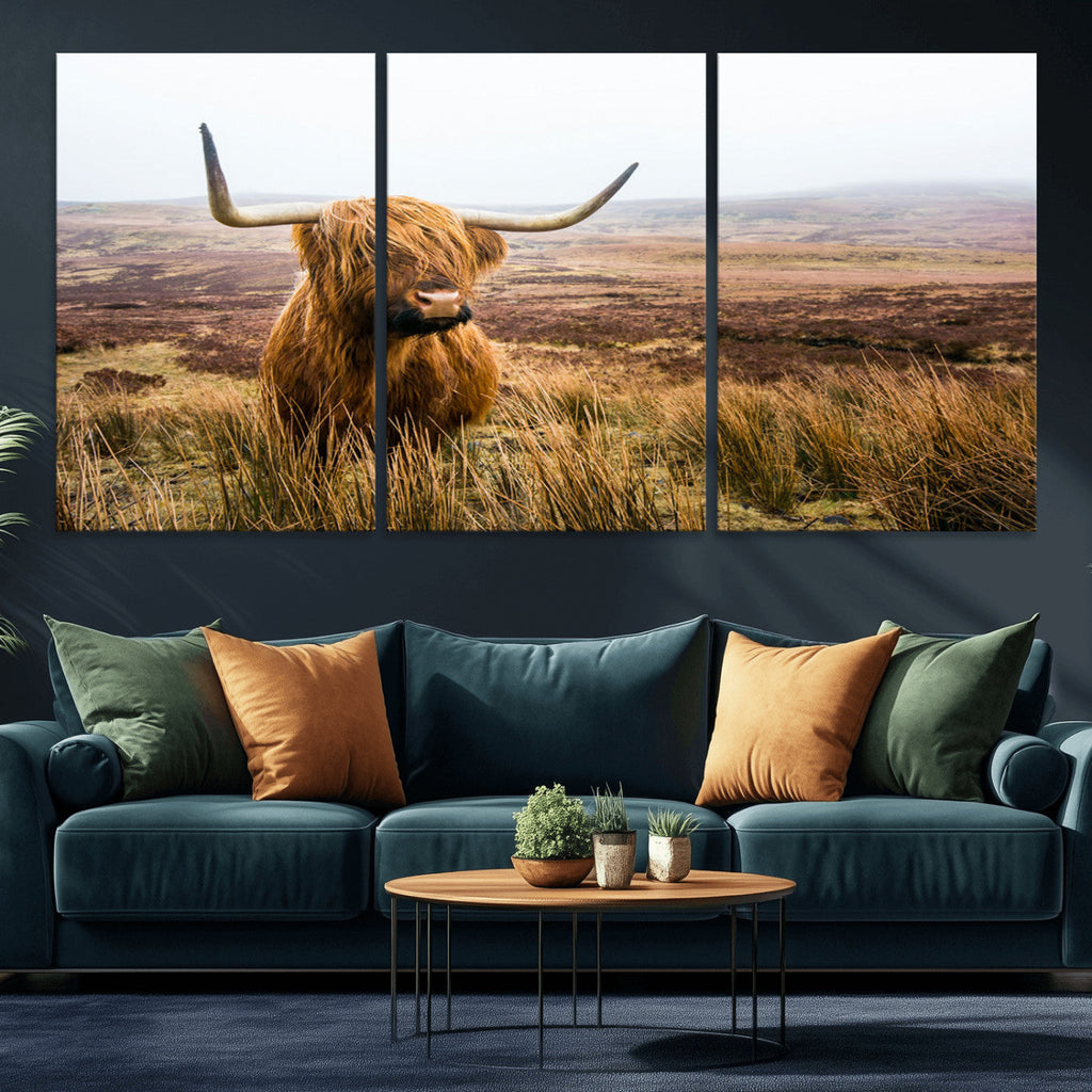 Scottish Highland Cow Canvas Wall Art, Rustic Farmhouse Decor