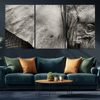 Elephant Wall Art Canvas Print