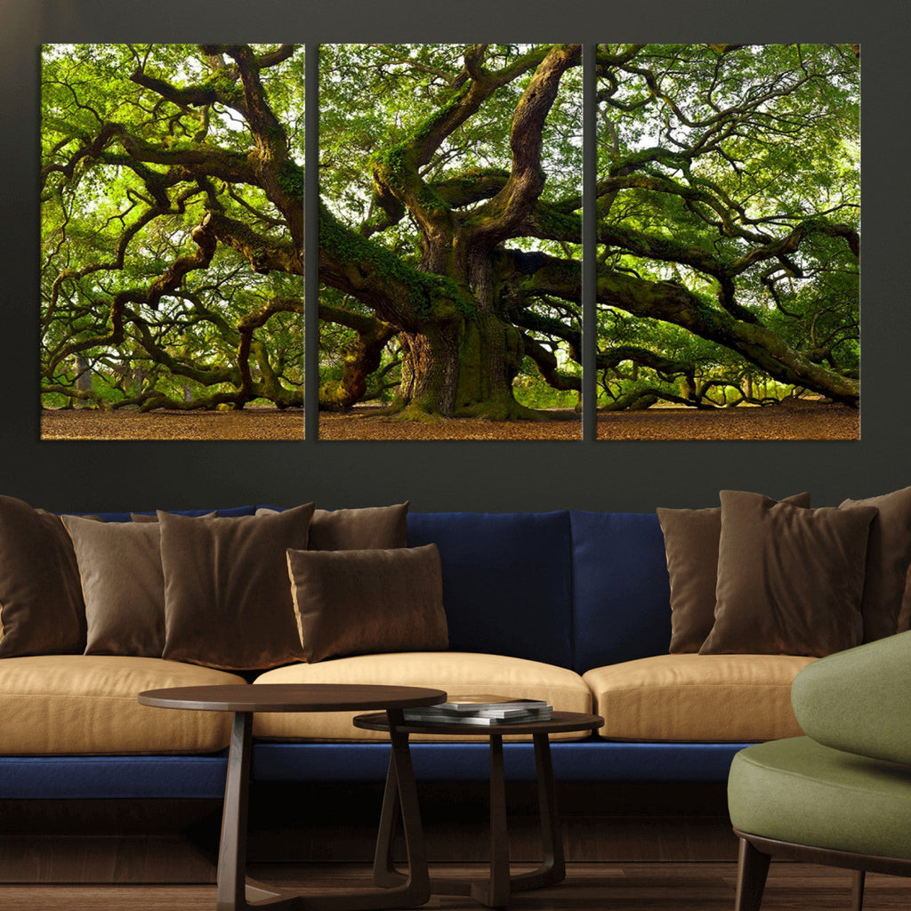 Angel Oak Tree Wall Art Canvas Print | Forest Tree Nature Photography Print