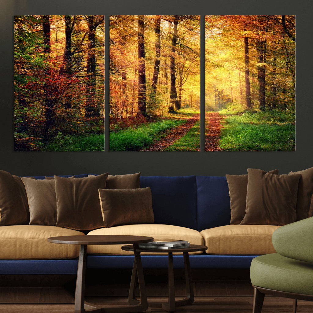 Sunlight Through Trees Wall Art Canvas Print | Autumn Forest Wall Art