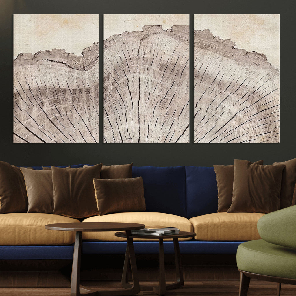 Tree Ring Wall Art Triptych, Rustic Wood Ring Canvas Print