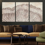 Tree Ring Wall Art Triptych, Rustic Wood Ring Canvas Print