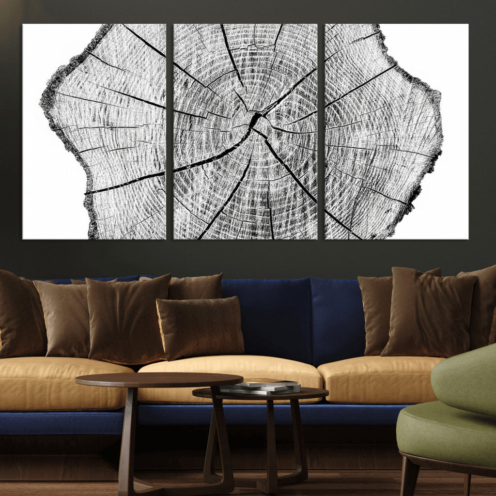 Rustic Tree Ring Wall Art Canvas Print, Framed and Ready to Hang
