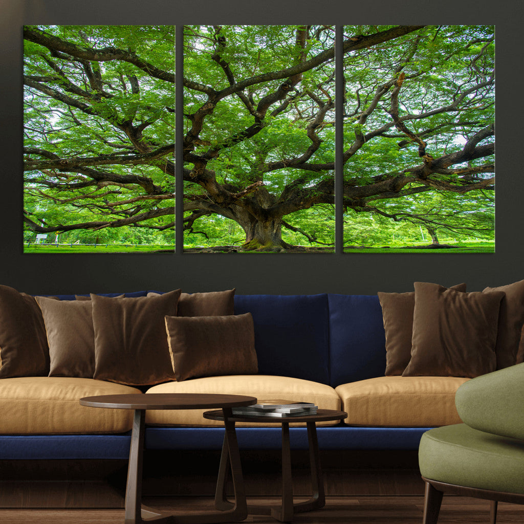 Ancient Tree Wall Art Canvas Print, Framed Sprawling Branches