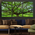Ancient Tree Wall Art Canvas Print, Framed Sprawling Branches