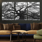 Ancient Oak Wall Art Canvas Print | Gnarled Tree with Twisted Branches