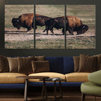 Bison Wall Art Canvas Print, Framed Western Wildlife Modern Ranch
