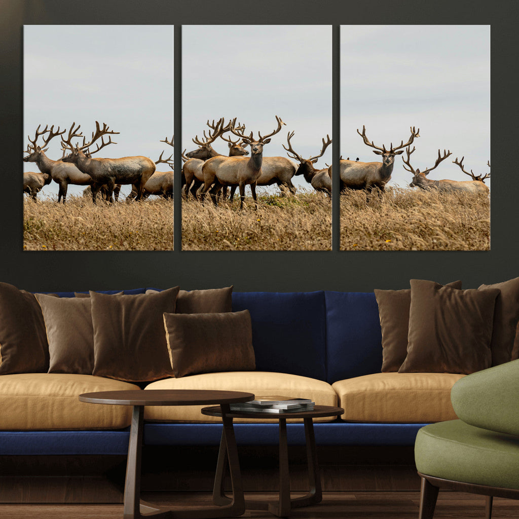 Elk Herd Wall Art Canvas Print, Framed Wildlife Photography Art, Majestic Antlers Rustic Wildlife Decor