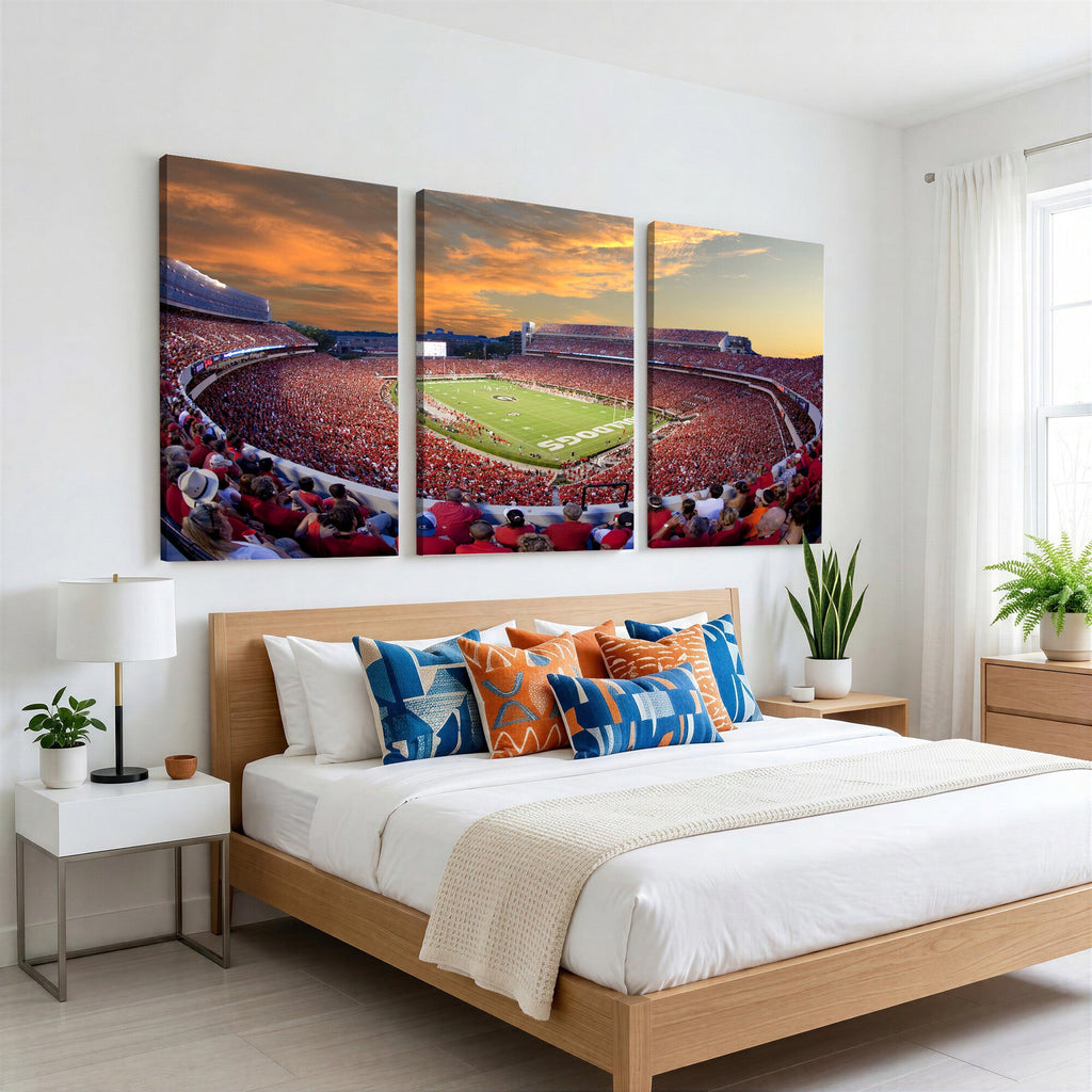Dooley Stadium Wall Art, Sports Arena Canvas Print, Dooley Field, Framed and Ready to Hang