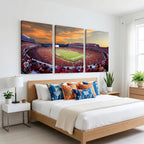 Dooley Stadium Wall Art, Sports Arena Canvas Print, Dooley Field, Framed and Ready to Hang