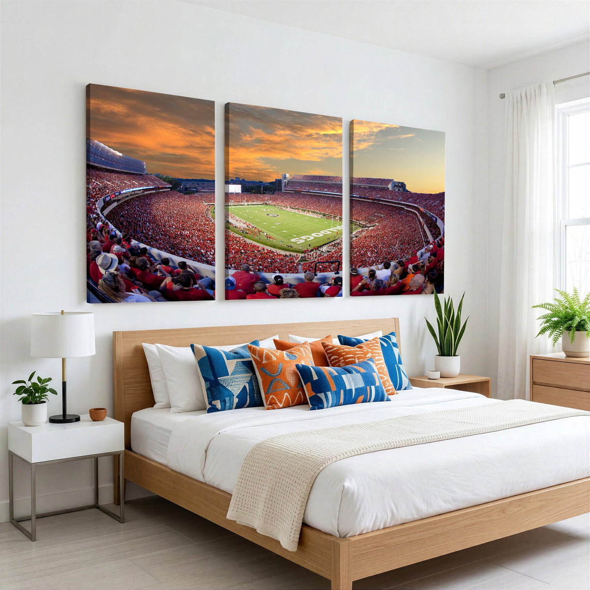 Dooley Stadium Wall Art, Sports Arena Canvas Print, Dooley Field, Framed and Ready to Hang