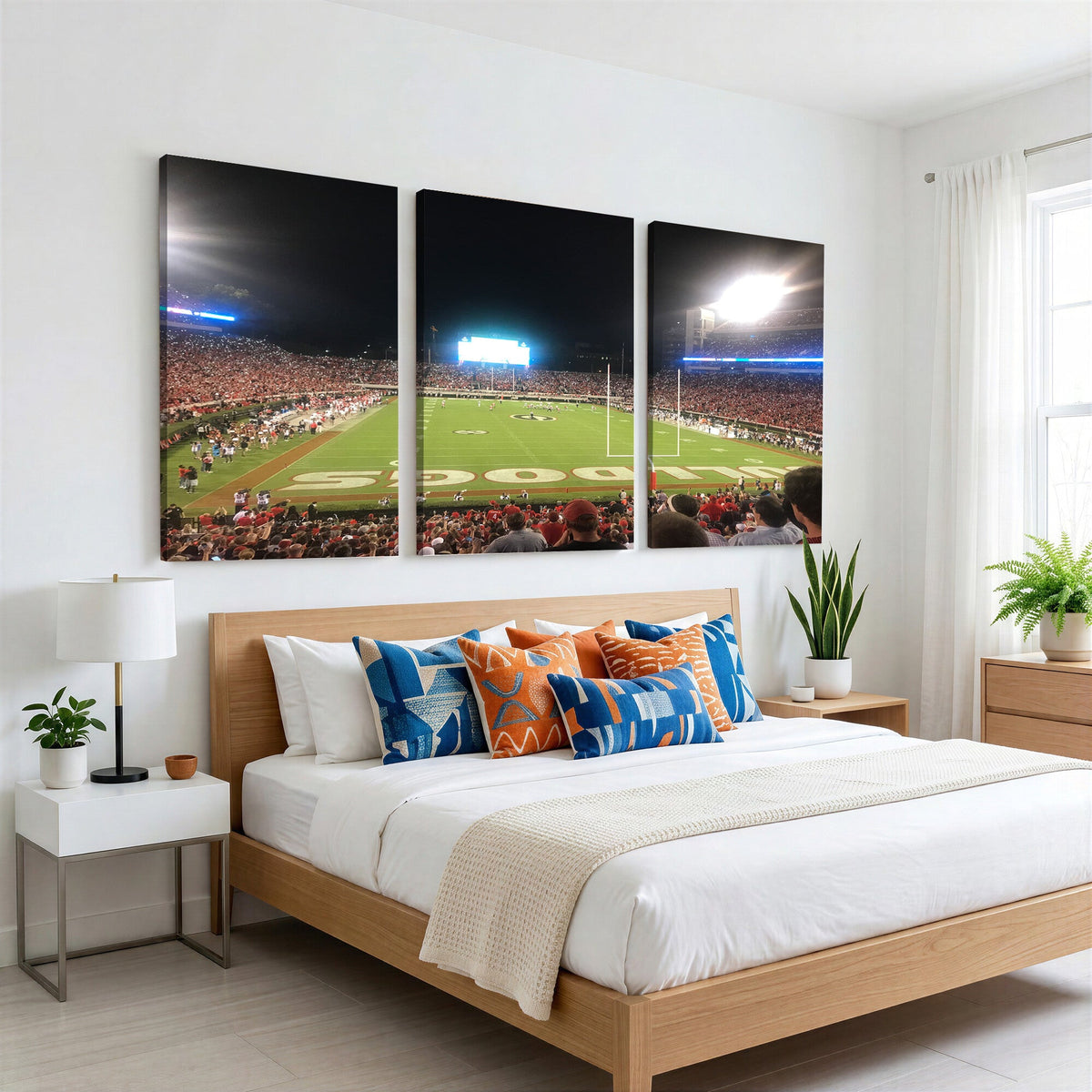 Dooley Stadium Wall Art, Sports Arena Panoramic Canvas