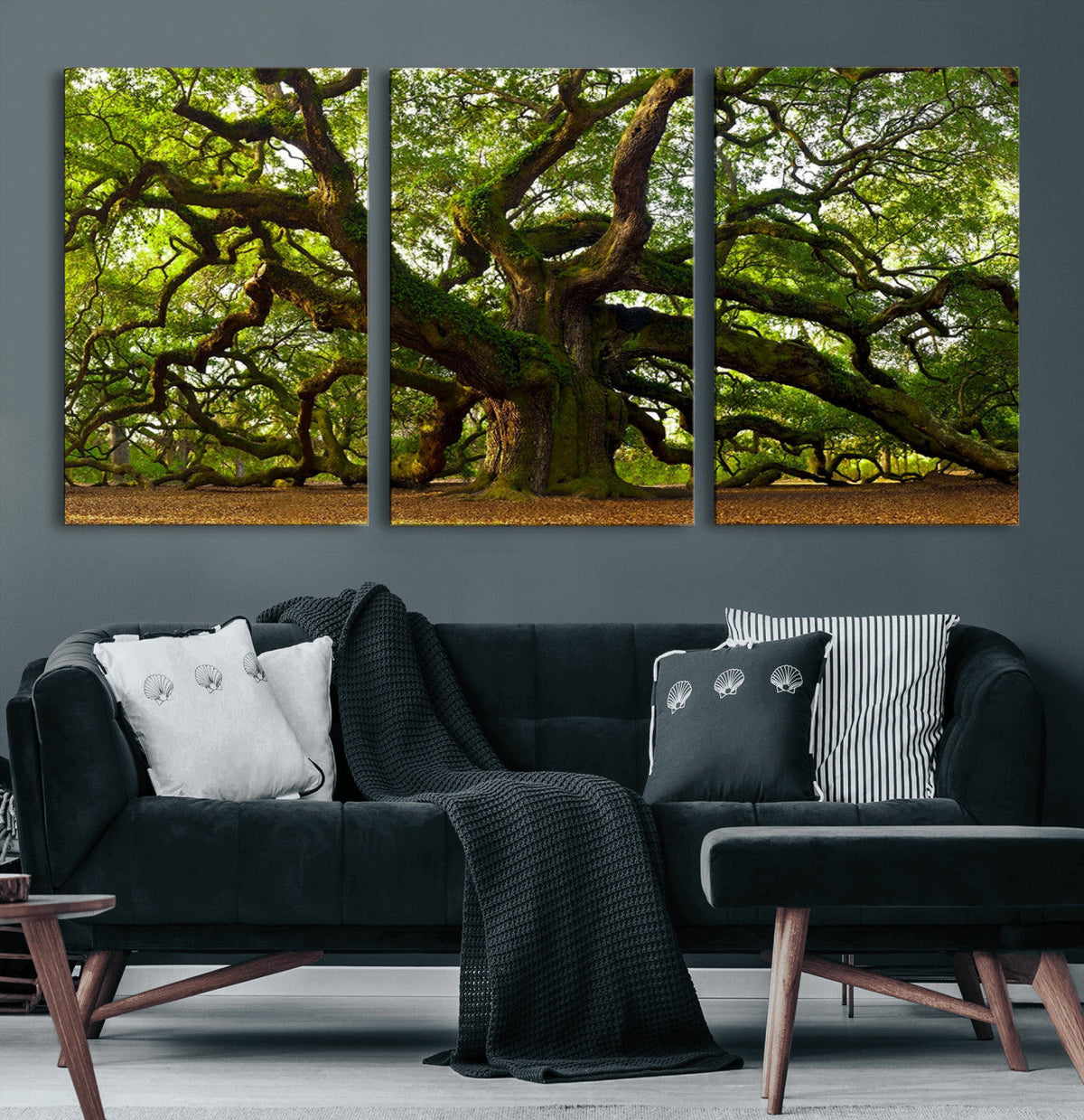 Angel Oak Tree Wall Art Canvas Print | Forest Tree Nature Photography Print