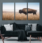 Wild Bison Wall Art | Framed Prairie Landscape Canvas
