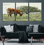 Texas Longhorn Wall Art Canvas Print, Rustic Western Ranch