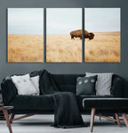 Buffalo Wall Art Canvas Print, Framed Western Wildlife Rustic Prairie Scene