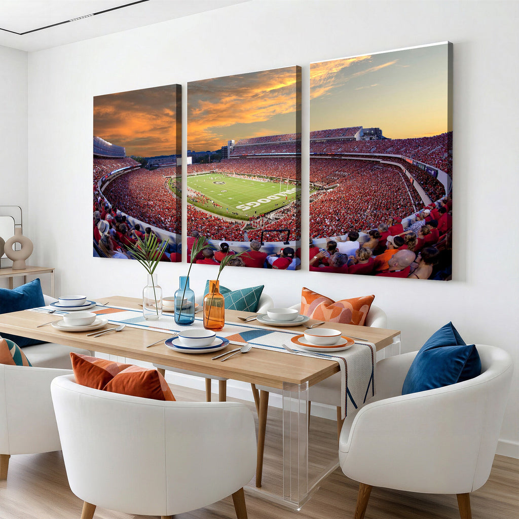Dooley Stadium Wall Art, Sports Arena Canvas Print, Dooley Field, Framed and Ready to Hang