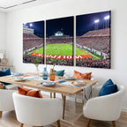 Wolfpack Football Team Print, Raleigh Carter-Finley Stadium
