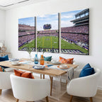 TCU Horned Frogs Football Team Print, Fort Worth Amon G. Carter Stadium, Framed and Ready to Hang
