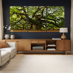 Angel Oak Tree Wall Art Canvas Print | Forest Tree Nature Photography Print