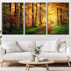 Sunlight Through Trees Wall Art Canvas Print | Autumn Forest Wall Art