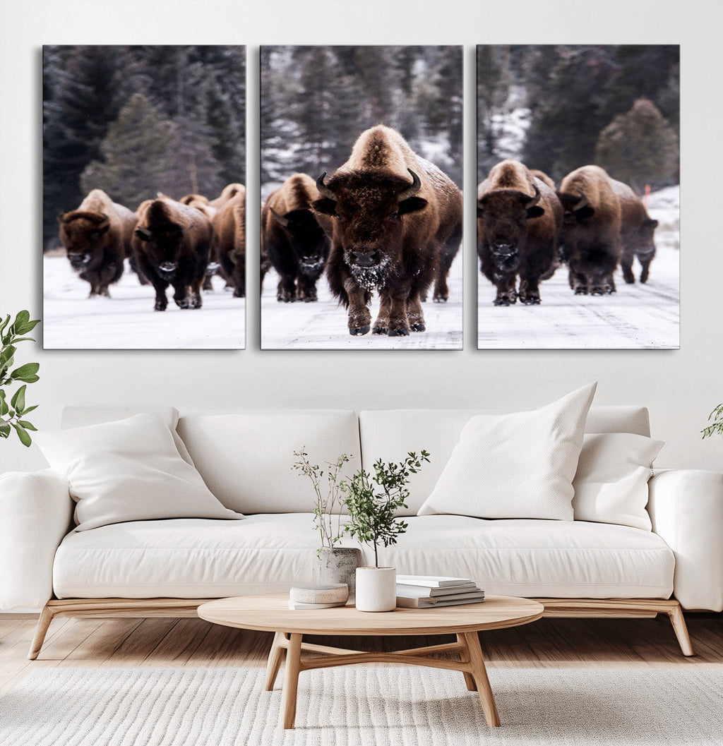Bison Wall Art Canvas Print, Bison Herd Canvas Wall Art