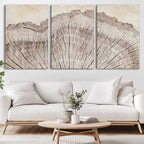 Tree Ring Wall Art Triptych, Rustic Wood Ring Canvas Print