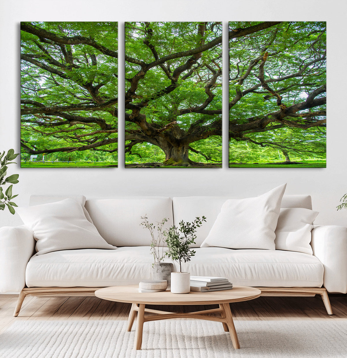 Ancient Tree Wall Art Canvas Print, Framed Sprawling Branches