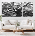 Ancient Oak Wall Art Canvas Print | Gnarled Tree with Twisted Branches