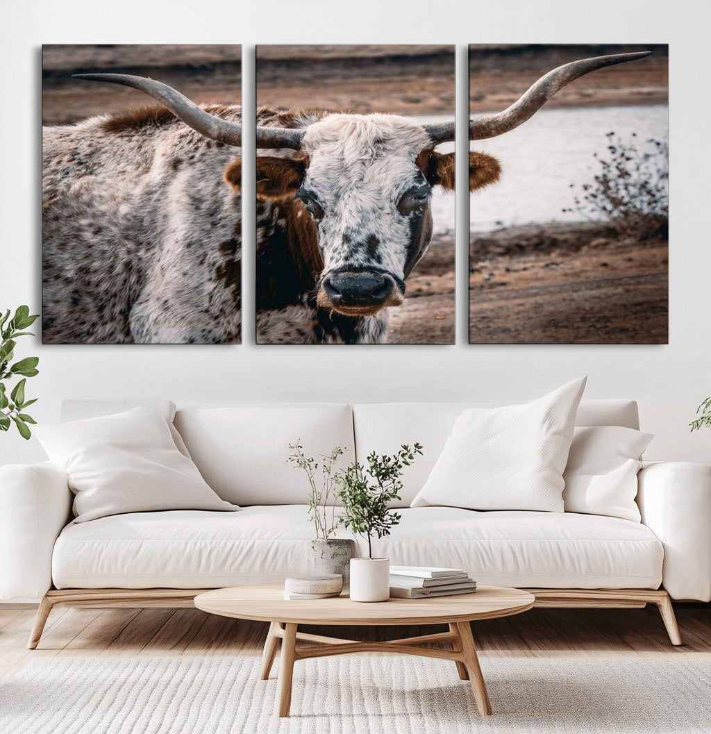 Texas Longhorn Wall Art Canvas Print | Framed Brown and White Spotted Longhorn