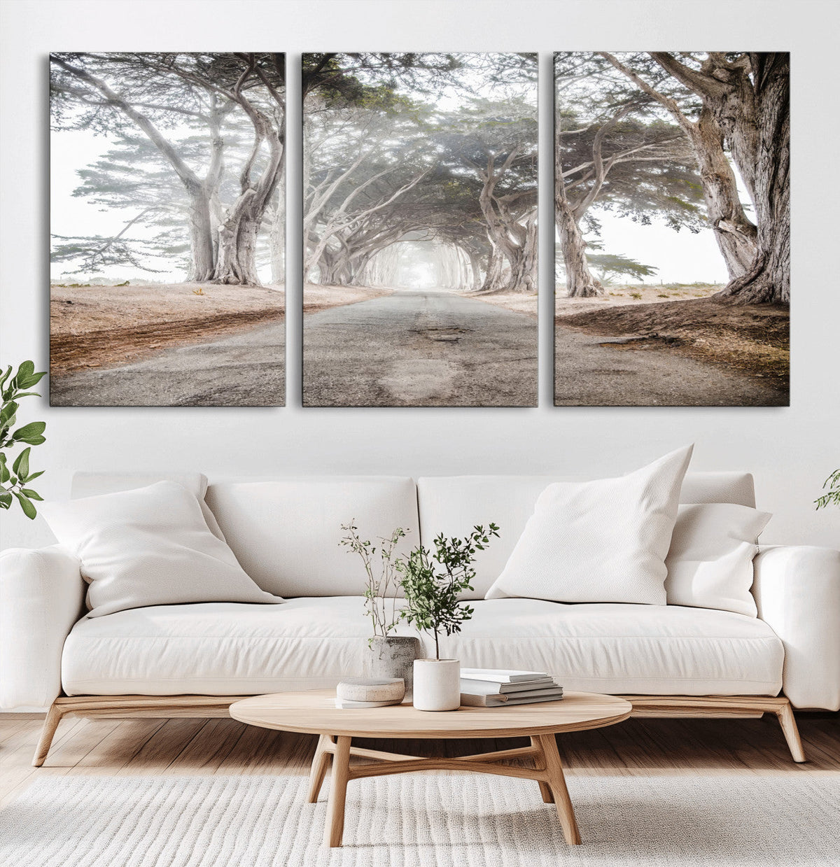 Cypress Tunnel Wall Art | Framed Misty Road Canvas Artwork