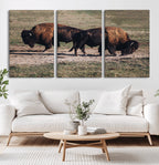 Bison Wall Art Canvas Print, Framed Western Wildlife Modern Ranch