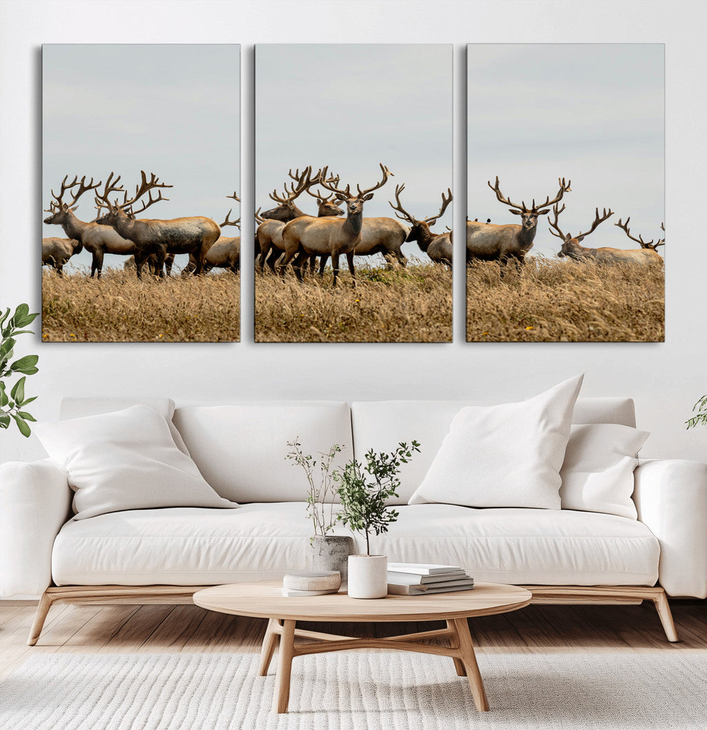 Elk Herd Wall Art Canvas Print, Framed Wildlife Photography Art, Majestic Antlers Rustic Wildlife Decor