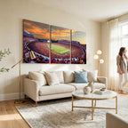 Dooley Stadium Wall Art, Sports Arena Canvas Print, Dooley Field, Framed and Ready to Hang