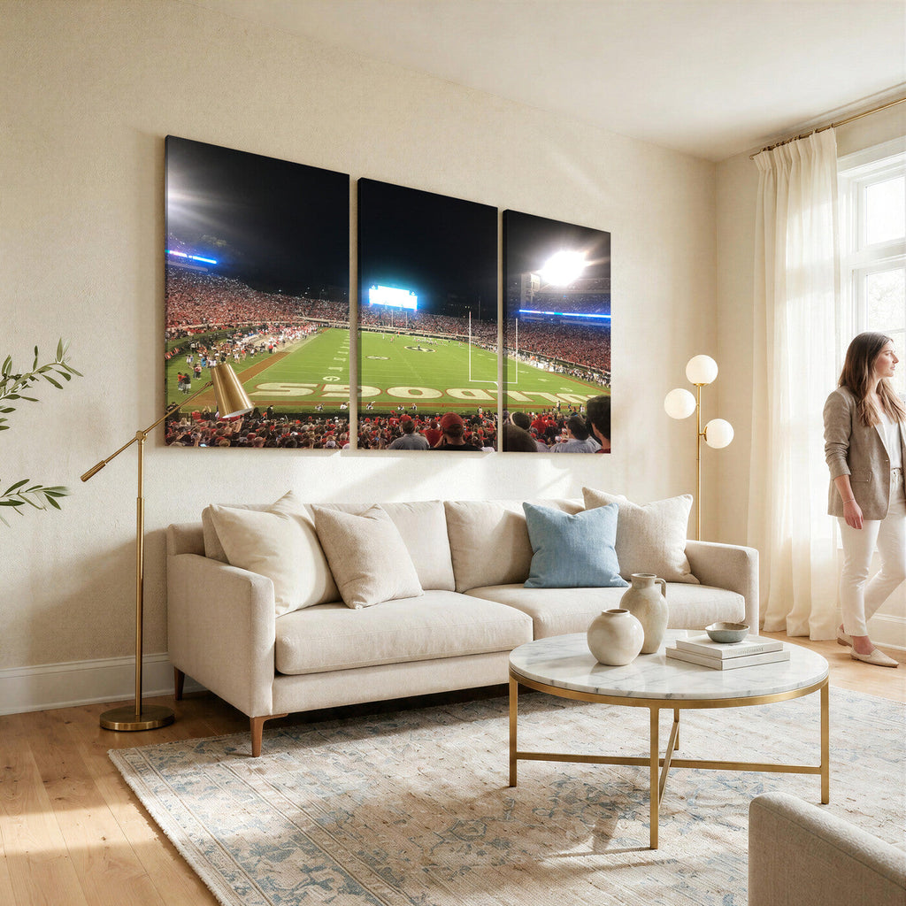 Dooley Stadium Wall Art, Sports Arena Panoramic Canvas