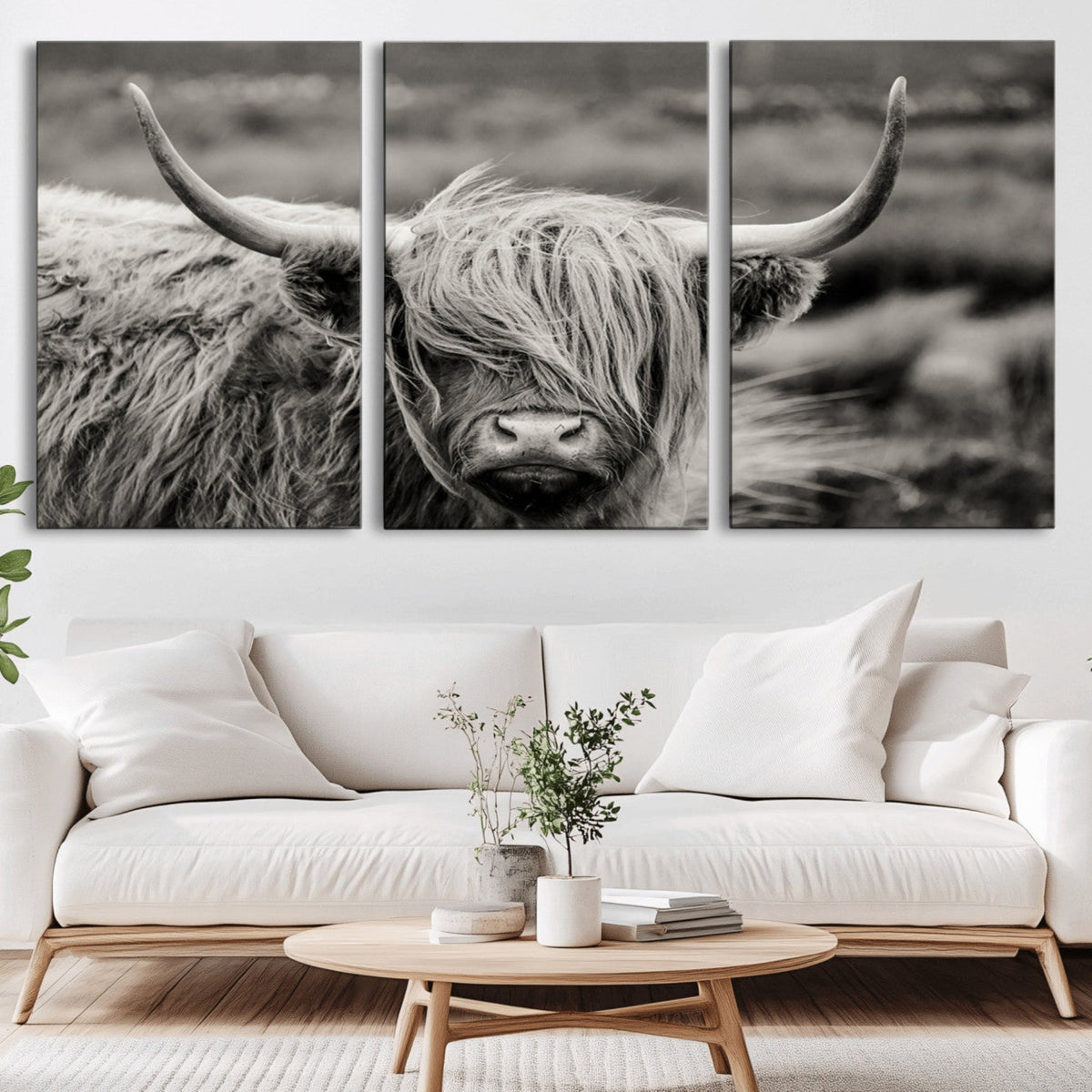 Cow Focus Canvas Wall Art Print