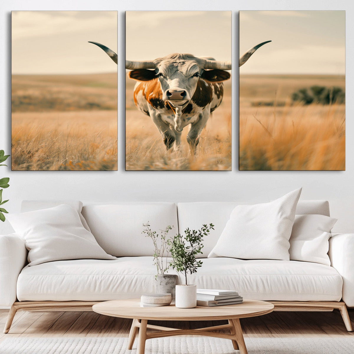 Texas Cow Wall Art Canvas Print for Farm House Wall Decor