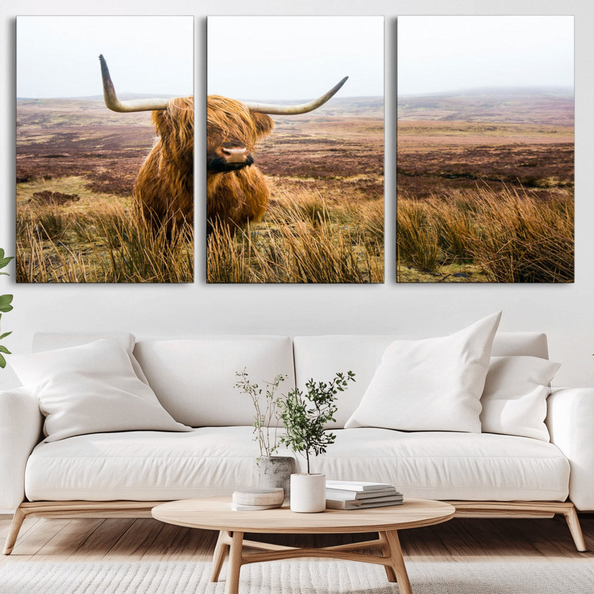 Scottish Highland Cow Canvas Wall Art, Rustic Farmhouse Decor